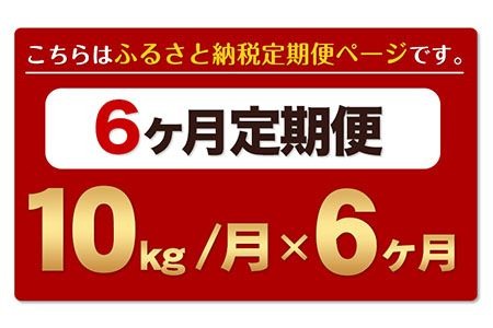 新米 令和5年産 ひのひかり  白米 or 無洗米 《11月頃から出荷開始》 10kg (5kg×2袋) 計6回お届け  白米 無洗米 熊本県産 単一原料米 ひの 熊本県 長洲町---hn5tei_64500_10kg_mo6num1_ng---