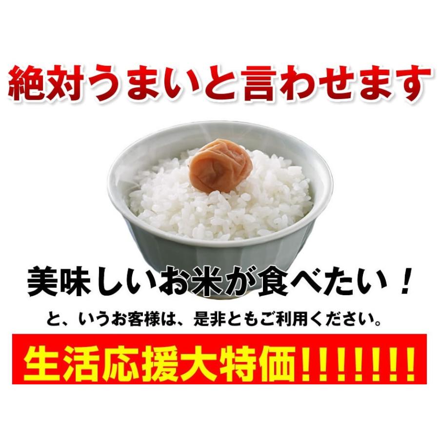 令和5年度千葉県産 こしひかり10kg 精米 一等米 5年産 コシヒカリ