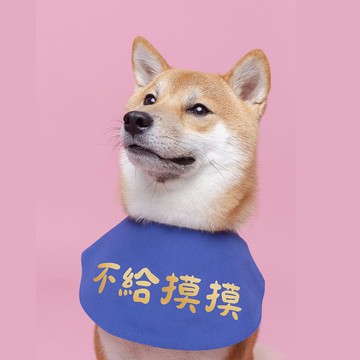 寵物國民領巾系列 | 不給摸摸 |