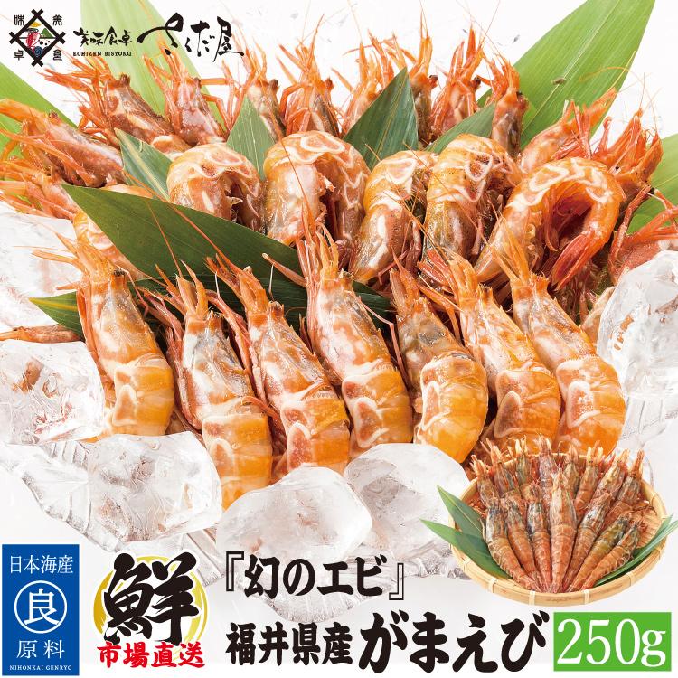 お歳暮 日本海産がらえび 250g 生食用