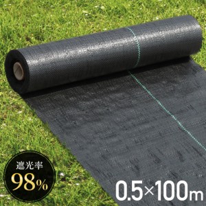 防草シート 0.5m × 100m UV剤入り 人工芝 雑草 芝生 DIY 草 庭 雑草シート ロール 雑草防止シート 除草シート 防草 シート ガーデニング