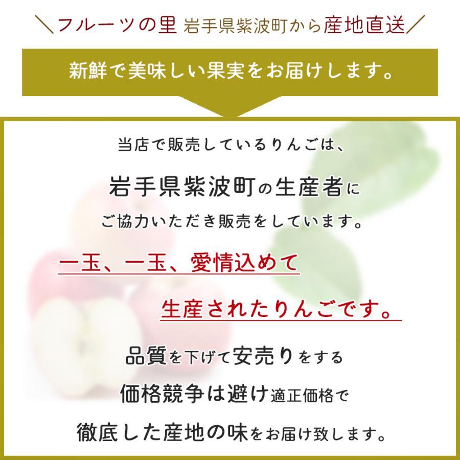 りんご 産地直送 岩手県産 ふじ 5kg 12-16玉入り サンふじ 秀品 贈答 ギフト 農家直送 林檎 リンゴ 果物 無袋栽培 樹上完熟