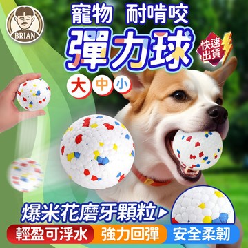 玩具球【布萊恩👨🏻隔日到貨】狗玩具 彈力球 耐咬球 寵物玩具 寵物球 啃咬球 狗耐咬玩具 磨牙咬球 寵物耐咬玩具 爆爆球