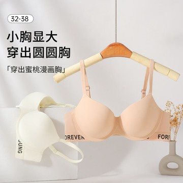 小胸內衣 加厚胸罩 漫畫胸 一片式無痕 無鋼圈 聚攏收副乳 上托聚攏收副乳 透氣舒適