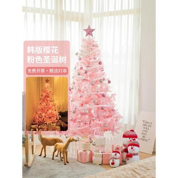 圣誕節禮物 ins風網紅櫻花粉色圣誕樹套餐 家用櫥窗圣誕節裝飾品