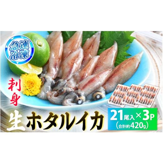 ふるさと納税 福井県 越前町 [e15-a014] 急速冷凍 生 ホタルイカ 21尾入 × 3パック 合計約420g（刺身・しゃぶしゃぶ用）小分け ふっくらプリプリ 鮮度抜群 上…