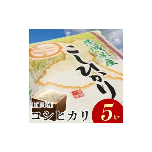 ふるさと納税 茨城県 土浦市 令和5年産米 新米 土浦市産 コシヒカリ 精米5kg ｜ 茨城県土浦市のお米が収穫される旧新治村地区は、ホタルが舞うのどかな里です…