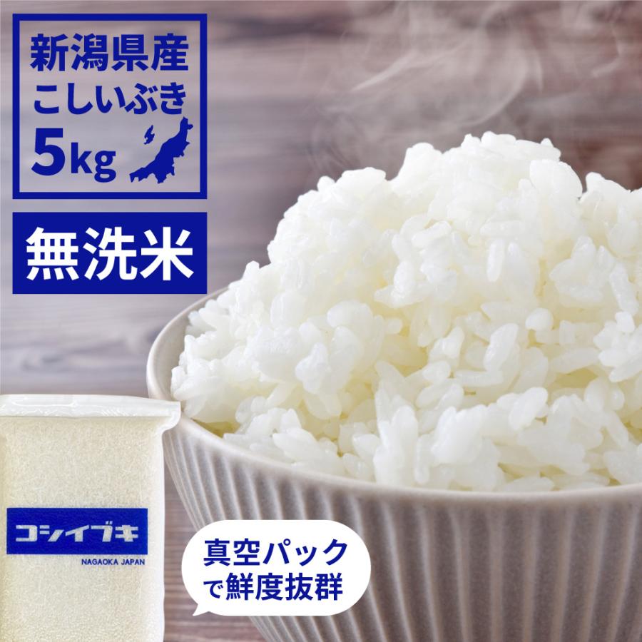 お米 ごはん白米 無洗米 5kg 5キロ 新潟県産 こしいぶき コシイブキ 令和5年産