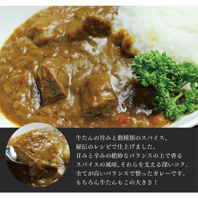 仙台名物の新定番！じっくり煮込んだ牛たんカレー（単品）メール便で発送