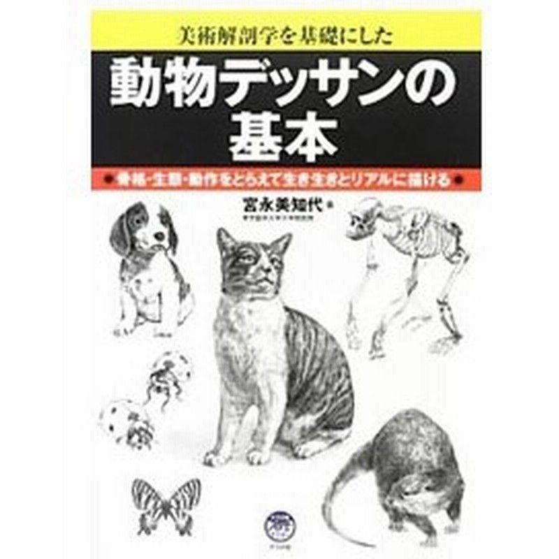 動物デッサンの基本 宮永美知代 通販 Lineポイント最大0 5 Get Lineショッピング