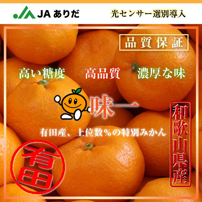 [予約 2023年11月1日-11月30日の納品] 有田みかん 味一 みかん 5kg M 和歌山県有田産 JAありだ 産地箱 冬ギフト お歳暮 御歳暮