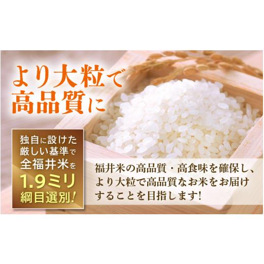 ふるさと納税 福井県 越前町 [e27-a025] お米15kg 3種食べ比べ！いちほまれ コシヒカリ ハナエチゼン 令和5年 福井県産【精米 人気品種 こしひかり 華…