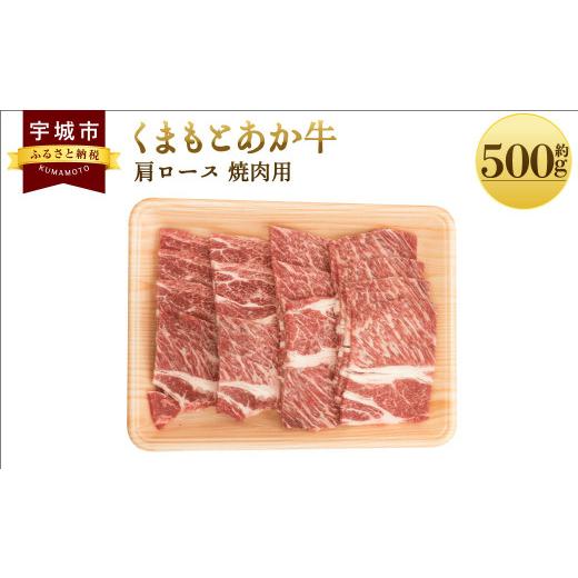 ふるさと納税 熊本県 宇城市 くまもとあか牛 肩ロース 焼肉用 約500g×1パック 和牛 牛肉