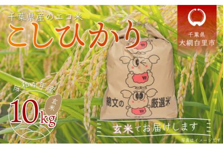 令和5年産 千葉県産エコ米「コシヒカリ」玄米10kg（10kg×1袋）