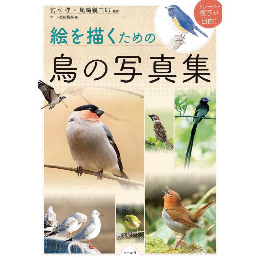 絵を描くための鳥の写真集 トレース・模写が自由