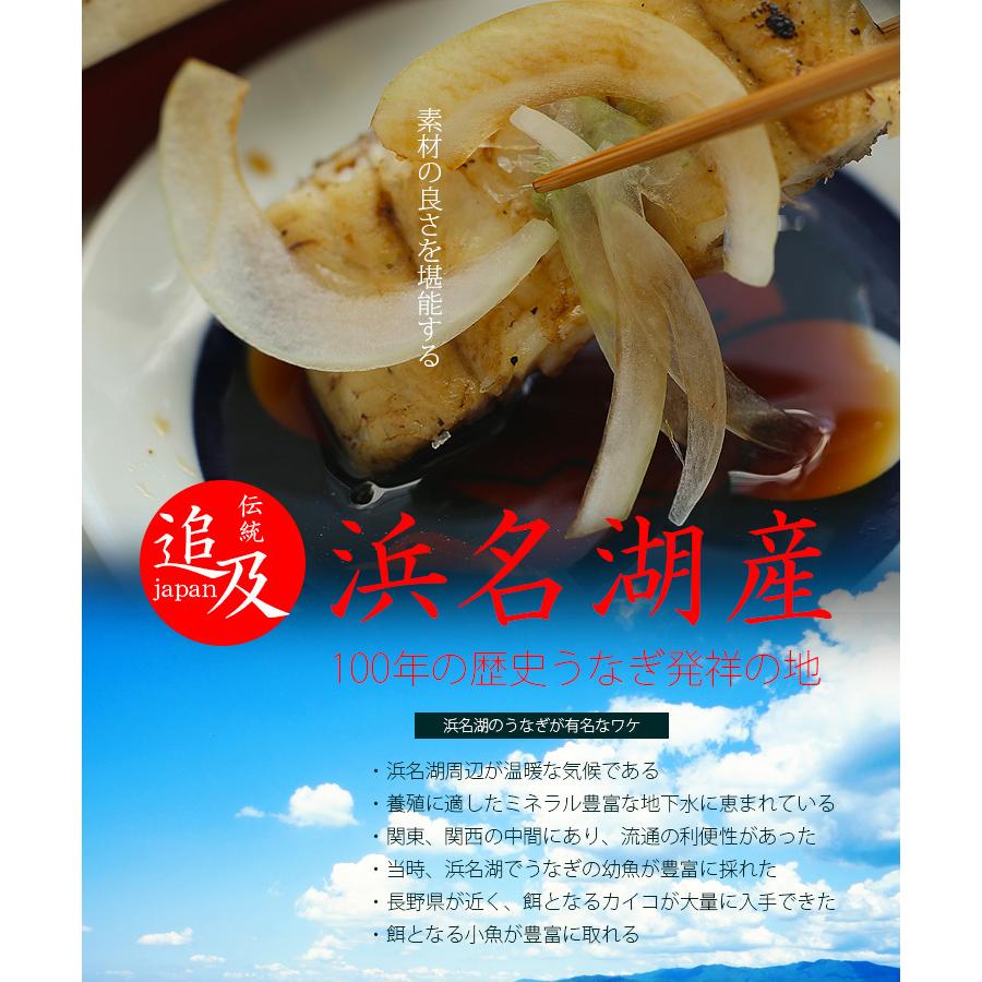 国産 うなぎ 白焼き お中元 ギフト セット 120g長焼き×2尾 蒲焼 真空 パック 浜名湖 愛知 鹿児島 化粧箱 送料無料 お取り寄せ 美味しい 静岡県 ウナギ 鰻 蒲焼