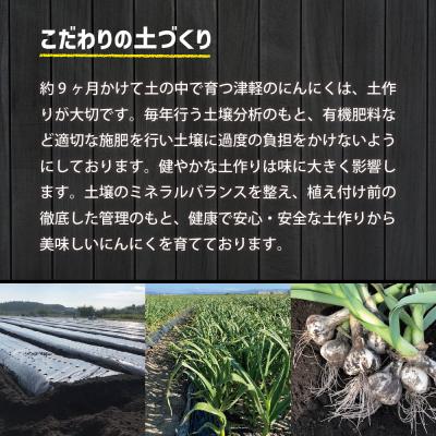 ふるさと納税 五所川原市 にんにく　青森県産にんにく(上級品)Mサイズ1kg