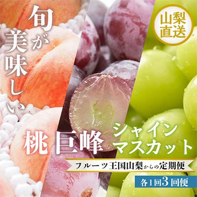 ふるさと納税 定期便 笛吹市 山梨の美味しい果物 桃・巨峰・シャインマスカット全3回