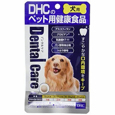 ＊最安挑戦＊ディーエイチシー (DHC) デンタルケア