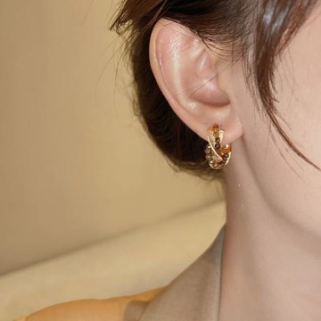 輕奢高級感耳環女2026新款今年流行爆款氣質大氣耳飾適合冬天耳釘