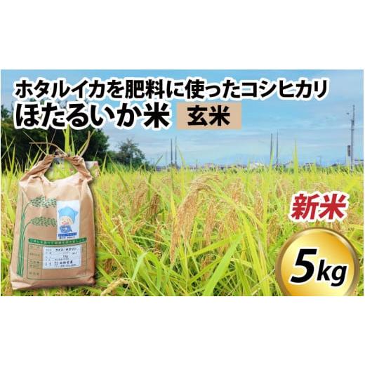 ふるさと納税 富山県 滑川市 ほたるいか米（新米／玄米５kg）