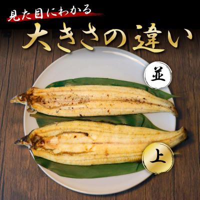 ふるさと納税 芸西村 高知ブランド鰻「西岡うなぎ」〜L〜うなぎの白焼き2尾セット(約330g)　オリジナルタレ付き