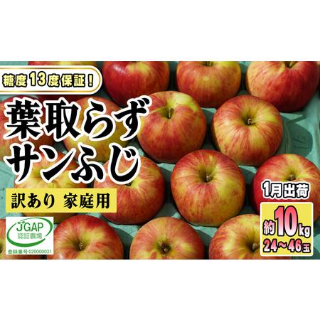 ふるさと納税 1月発送家庭用 葉取らず サンふじ 約10kg 青森県鶴田町