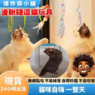 【隔日到貨】新款盪鞦韆  門掛式逗貓玩具 吊掛式逗貓棒 門掛式逗貓棒 掛門 逗貓玩具 貓咪蕩鞦韆 逗貓 貓咪自嗨 爆炸頭
