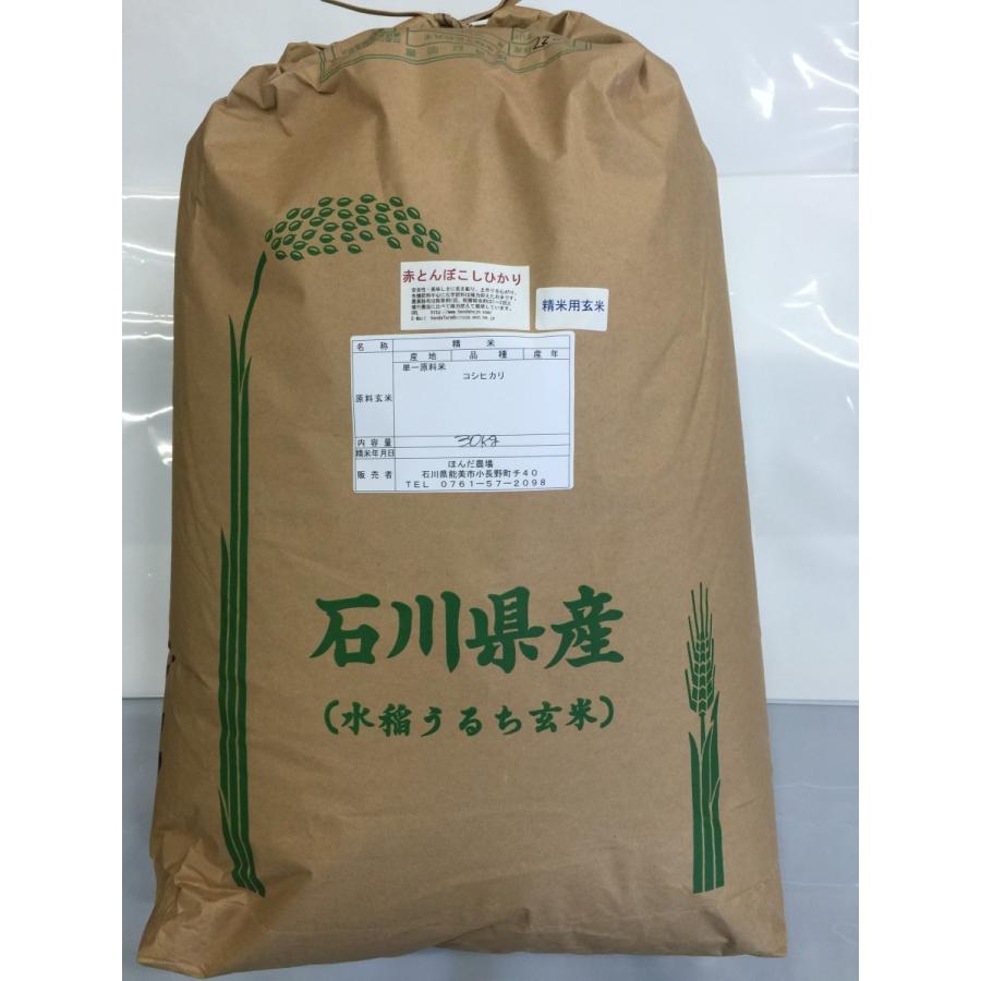 令和5年産 新米 加賀百万石 こしひかり エコ栽培米 石川県産 新米  赤とんぼ  食用 玄米 20kg