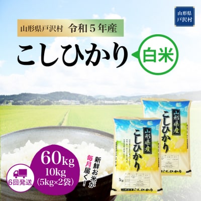 コシヒカリ 定期便 60kg(10kg×6回お届け)山形県 戸沢村