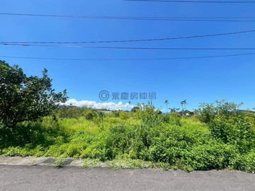 冬山大進60米超大面寬足坪山景美農地｜宜蘭縣冬山鄉大進段