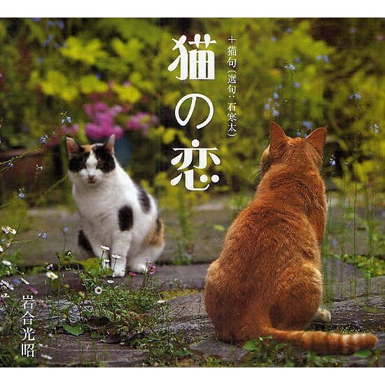 猫の恋 猫句 岩合光昭 ・文石寒太