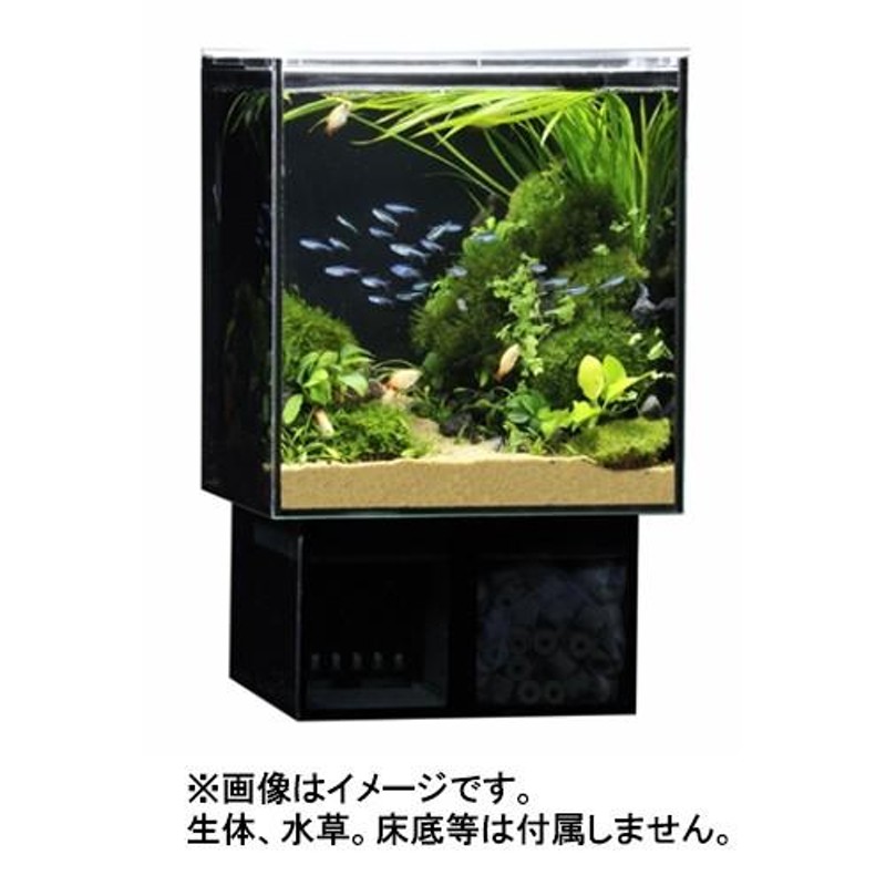 希少☆KOTOBUKI 濾過層一体 ガラス水槽 セット - 魚用品/水草