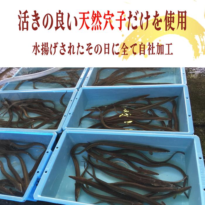 あなご めじろ 穴子 特上 天然あなごの干物 １３０g (大サイズ) (愛知県師崎産)