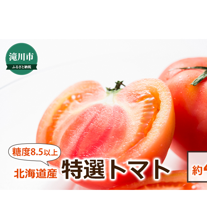 北海道産 特選トマト(糖度8.5以上)20～39玉 約4kg＜2024年7月上旬～順次出荷＞｜北海道 滝川市 とまと トマト 野菜 糖度 2024年発送 先行受付 やさい