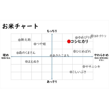 ふるさと納税 コシヒカリ 玄米 6kg×6回（計 36kg） [H605] 新潟県柏崎市