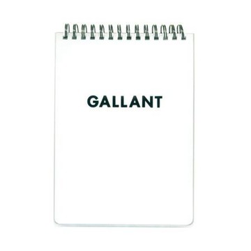 南冠GALLANT 上翻PP線圈空白活頁筆記本/N36396/白/36K/80入