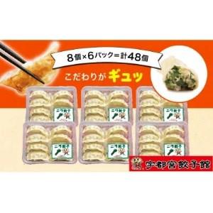 ふるさと納税 「宇都宮餃子館」のニラ餃子 8個入り×6パック(計48個) 栃木県宇都宮市