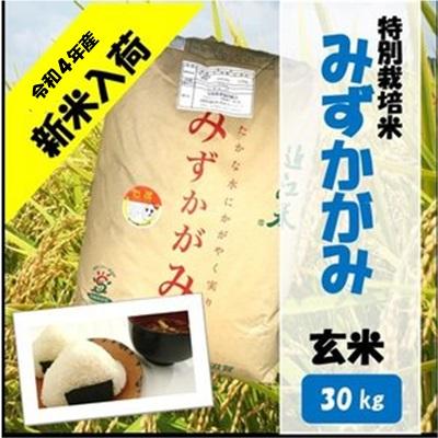 滋賀県産近江米　JAこうか　特別栽培米　みずかがみ　玄米　30kg