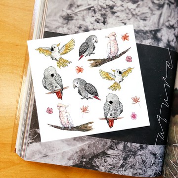 紋身貼紙 / 非洲灰鸚巴丹鸚鵡紋身轉印貼紙