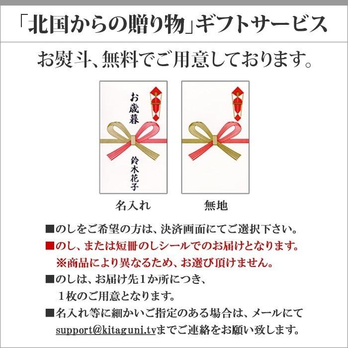 御歳暮 北海道 スープカレー レトルト 20食セット ご当地カレー 業務用 ギフト チキンレッグ