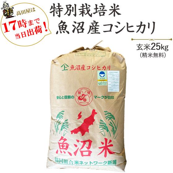 令和５年産　お米 25kg 津南町ゆきやまと農場限定！特別栽培米魚沼産コシヒカリ 玄米25kg   白米4.5kg×5袋（精米無料）  送料無料(一部地域を除く)