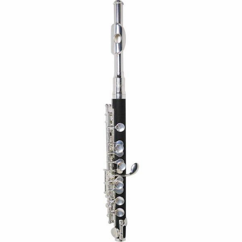 Kaerntner ケルントナー ピッコロ KPC-320 Amazon.co.jp: Kaerntner ケルントナー ピッコロ KPC-320