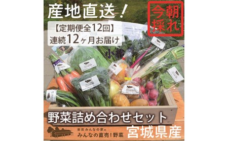 連続12ヶ月お届け！岩沼みんなの家の「みんなの直売！野菜」セット詰め合わせ