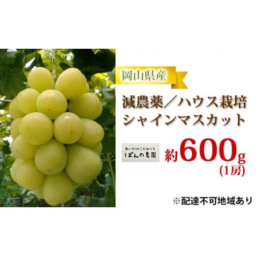 ふるさと納税 岡山県 岡山市 ぶどう 2024年 先行予約 シャイン マスカット 1房 約600g  減農薬／ハウス栽培 ブドウ 葡萄  岡山県産 国産 フルーツ 果物 ギフト…