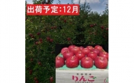 12月発送 蜜入り 最高等級「特選」大玉 葉とらず サンふじ 約5kg・糖度14度以上 