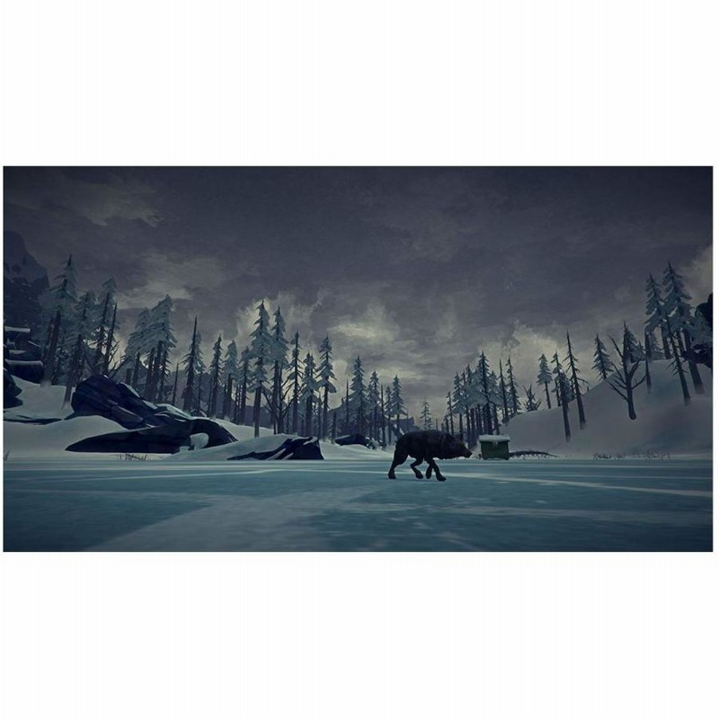 The Long Dark ザ ロング ダーク PS4 輸入版【新品】 | LINE