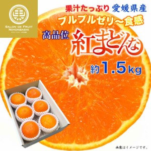 [予約 12月31日必着] 紅まどんな 約1.5kg 愛媛県 化粧箱 冬ギフト お歳暮 御歳暮 大晦日必着