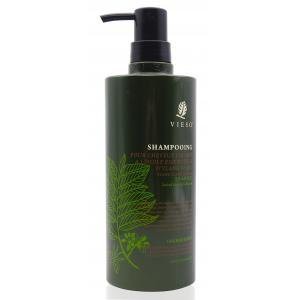 VIESO 依蘭依蘭亮色洗髮乳 800ML 正品 公司貨  ★七彩美容百貨｜換季推薦⚡專櫃保養 春季彩妝 品牌香氛