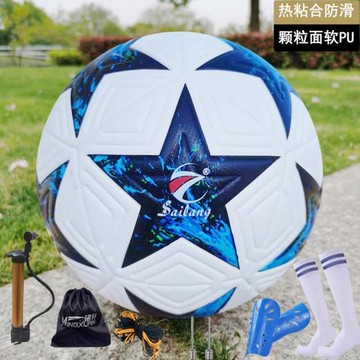 2020歐洲杯足球歐冠5號成人4號中小學生中考訓練球男子比賽專用球
